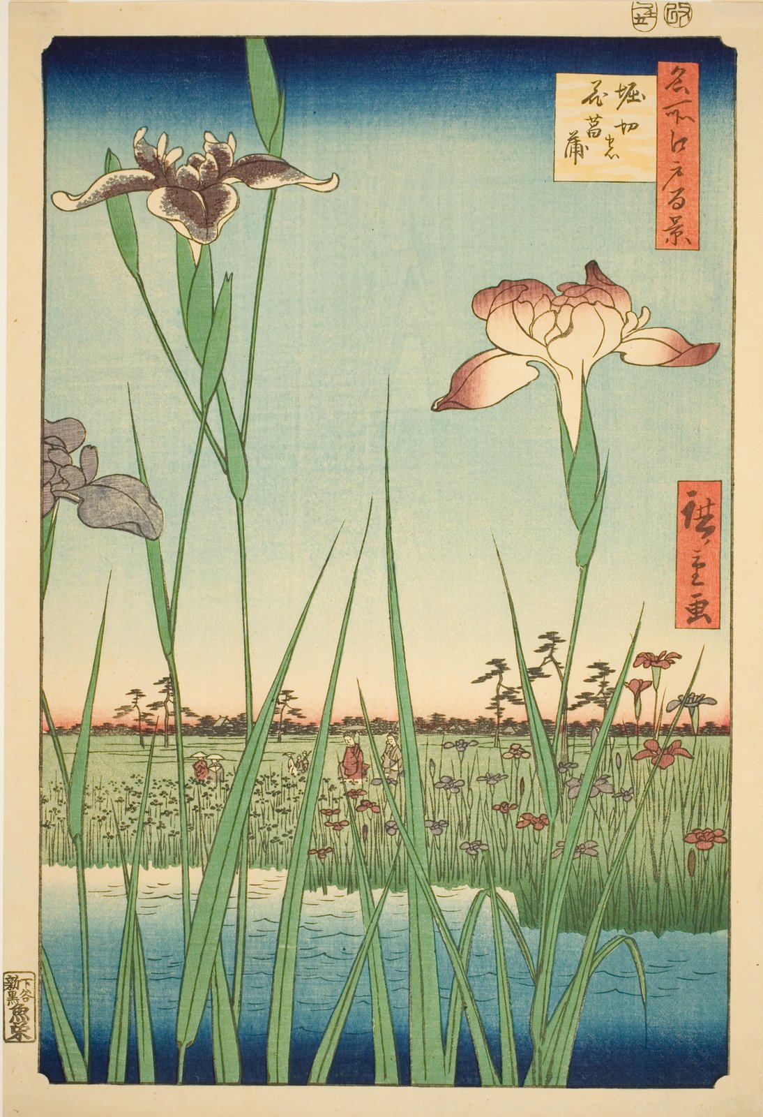 歌川広重「名所江戸百景 堀切の花菖蒲」。紫や白の花菖蒲が画面いっぱいに大きく描かれ、その奥の湿地では小さな人影が花菖蒲畑を眺めながら歩いている。空は夕暮れの淡い色に染まっている