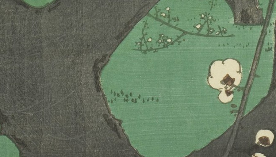 二枚目の同じ範囲の部分拡大。地面が黄みを帯びた明るい草の緑で摺られている